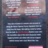Zero Six Bravo – Damien Lewis secondhand book