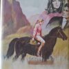Skepe in die nag – Nelmari Kock secondhand book