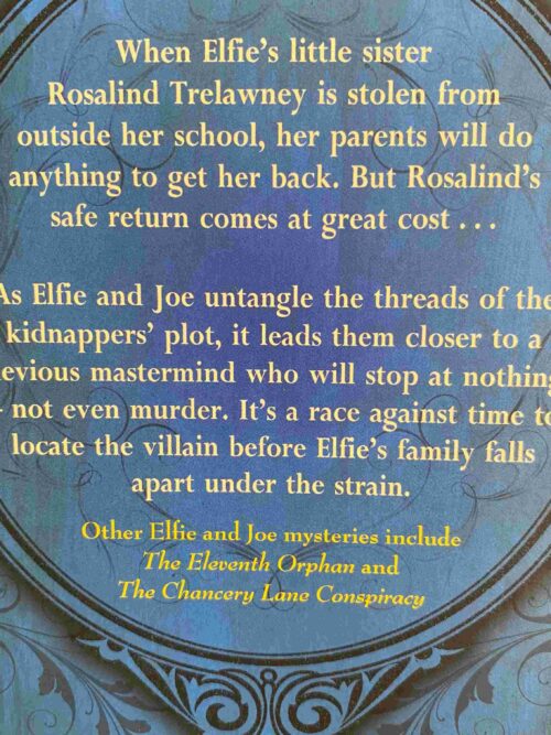The Stolen Sister – Joan Lingard secondhand book
