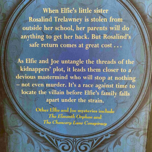 The Stolen Sister – Joan Lingard secondhand book