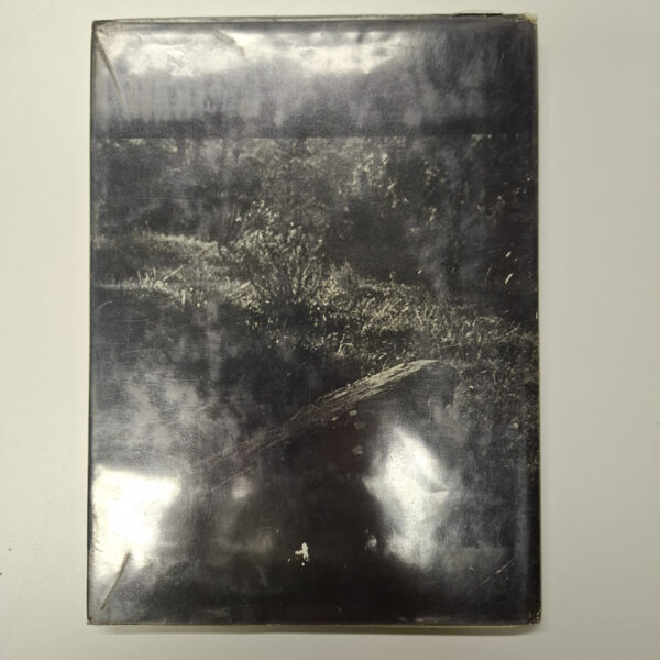 Portret Van Die Vrou As ‘n Meisie – André P Brink secondhand book