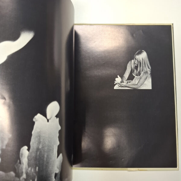 Portret Van Die Vrou As ‘n Meisie – André P Brink secondhand book