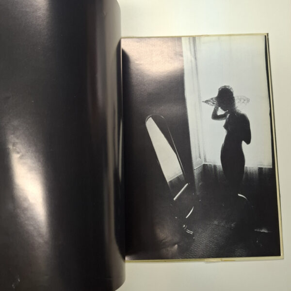 Portret Van Die Vrou As ‘n Meisie – André P Brink secondhand book