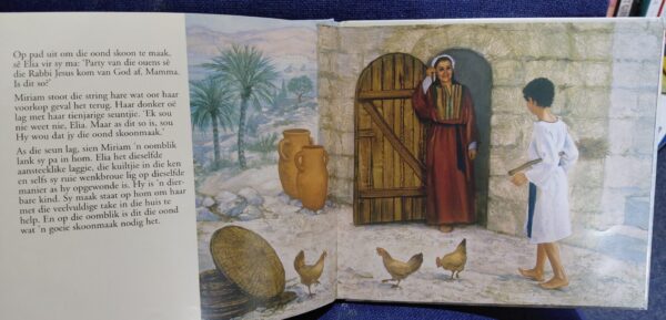 Klein Gawes, Groot Wonders – Max Ludaco secondhand book