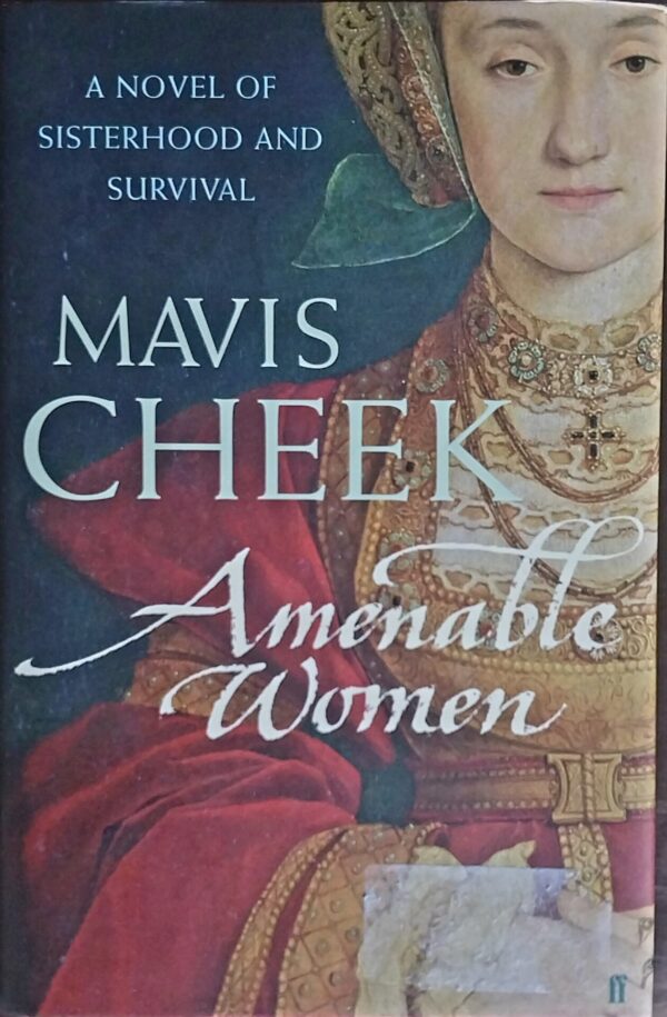 Amenable Women - Mavis Cheek Amenable Women – Mavis Cheek secondhand book