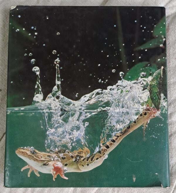 20251231_162150 The Pond – Rhompson, Coldrey, Bernard secondhand book