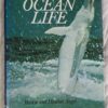 All Colour Book Of Ocean Life – Martin and Heather Angel secondhand book