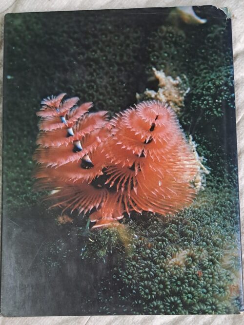 All Colour Book Of Ocean Life – Martin and Heather Angel secondhand book