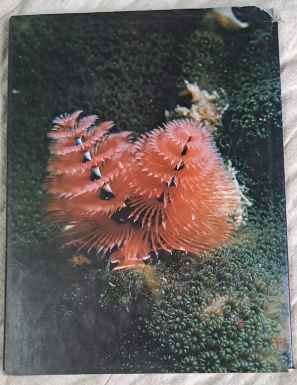 All Colour Book Of Ocean Life – Martin and Heather Angel secondhand book