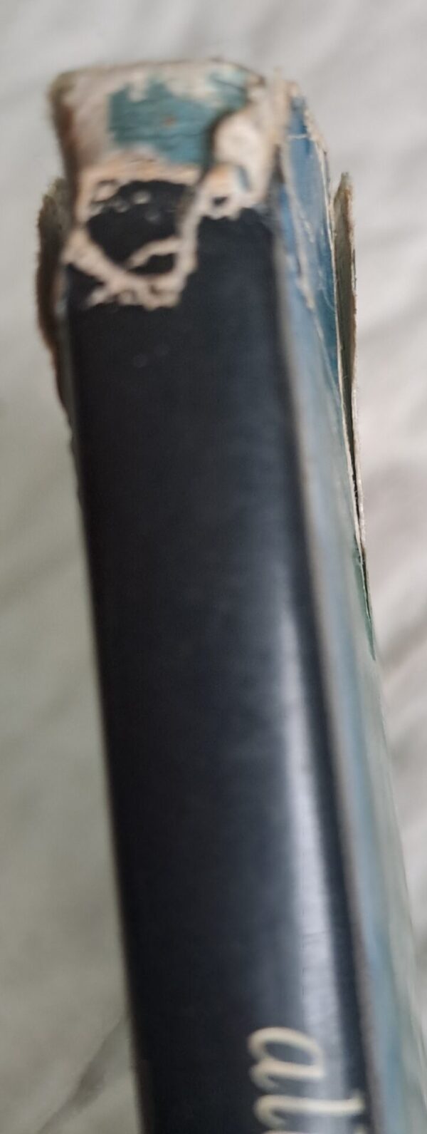 All Colour Book Of Ocean Life – Martin and Heather Angel secondhand book