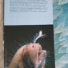 All Colour Book Of Ocean Life – Martin and Heather Angel secondhand book