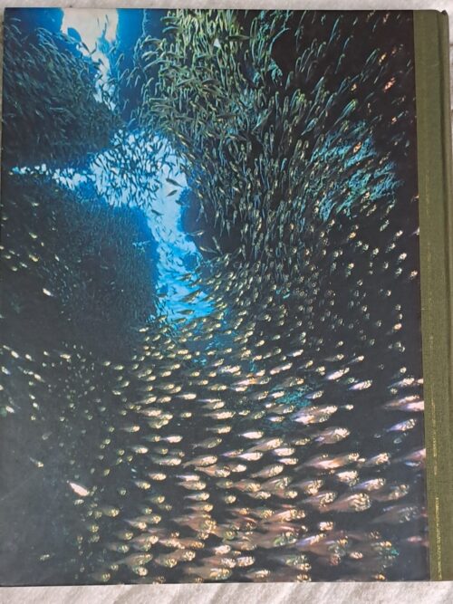 Secrets Of The Sea – Reader’s Digest secondhand book