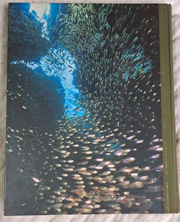 Secrets Of The Sea – Reader’s Digest secondhand book