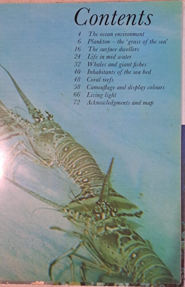 All Colour Book Of Ocean Life – Martin and Heather Angel secondhand book