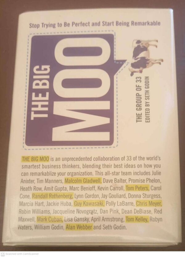 The Big Moo: Stop Trying To Be Perfect And Start Being Remarkable — Seth Godin secondhand book