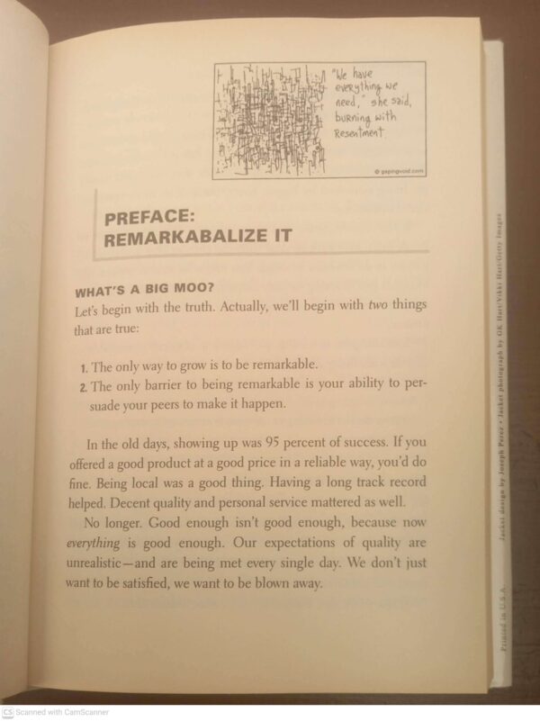 The Big Moo: Stop Trying To Be Perfect And Start Being Remarkable — Seth Godin secondhand book