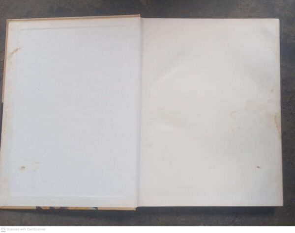 Boerekos — Dine Van Zyl secondhand book