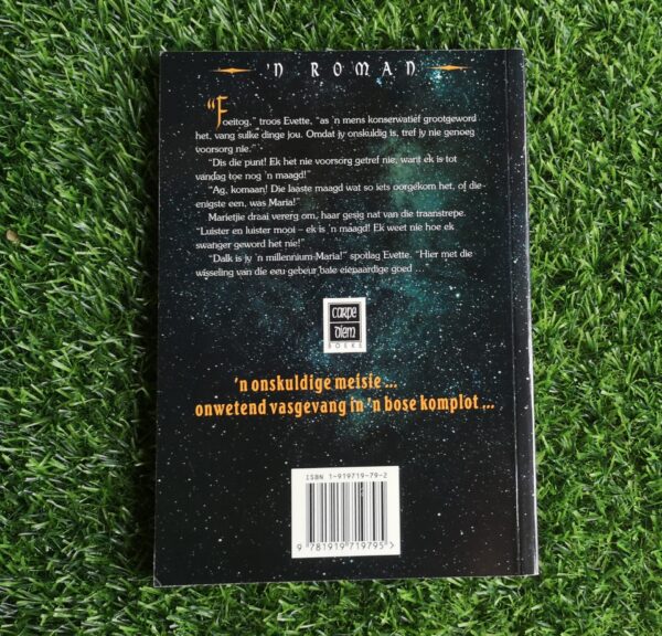 Een Vir Babilon – Jannie Le Roux secondhand book