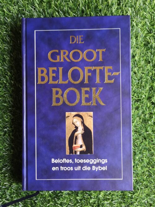 Die Groot Belofteboek – Annes Nel secondhand book