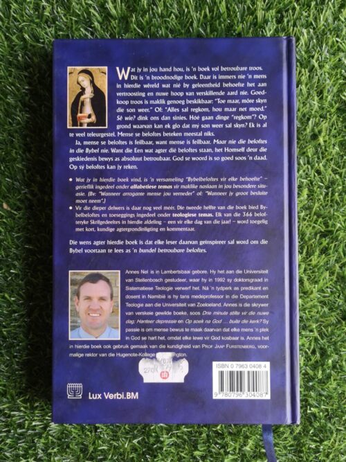 Die Groot Belofteboek – Annes Nel secondhand book