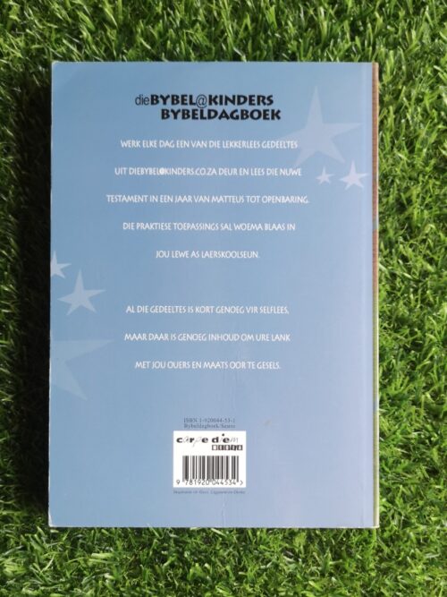 Woema: Dagstukke vir Seuns – Hennie Stander secondhand book