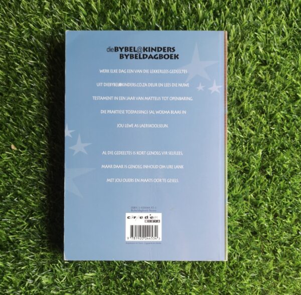 Woema: Dagstukke vir Seuns – Hennie Stander secondhand book