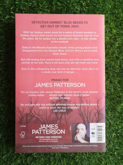 Never Never – James Patterson, Candice Fox secondhand book