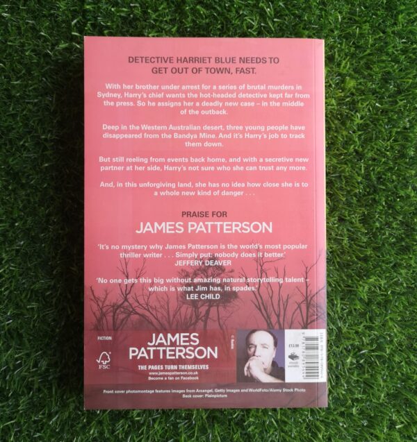 Never Never – James Patterson, Candice Fox secondhand book