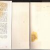 The Scarlet Cord — Frank G. Slaughter secondhand book