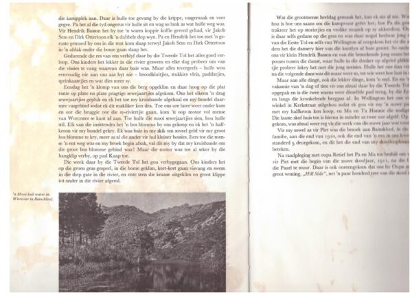 Lewensavontuur: Seunsjare Op Olyfboom — A. C. Cilliers secondhand book