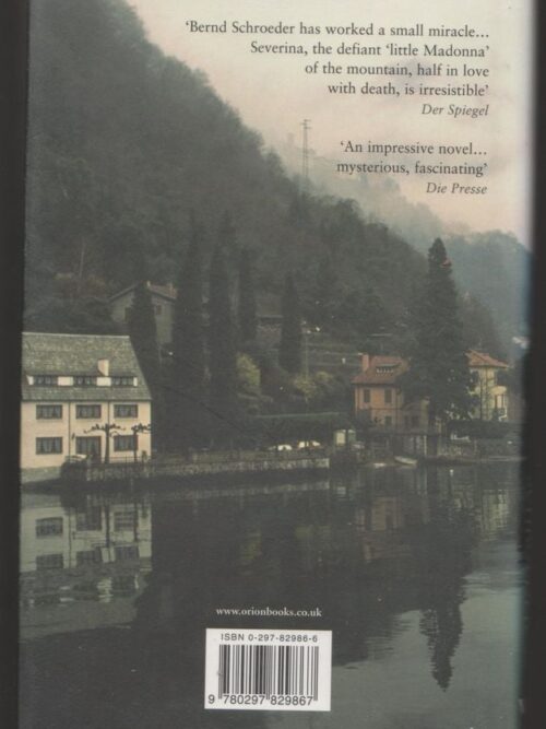 The Madonnina — Bernd Schroeder secondhand book