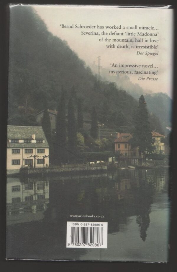 The Madonnina2 The Madonnina — Bernd Schroeder secondhand book