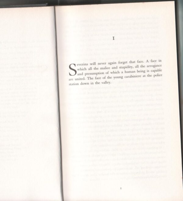 The Madonnina6 The Madonnina — Bernd Schroeder secondhand book