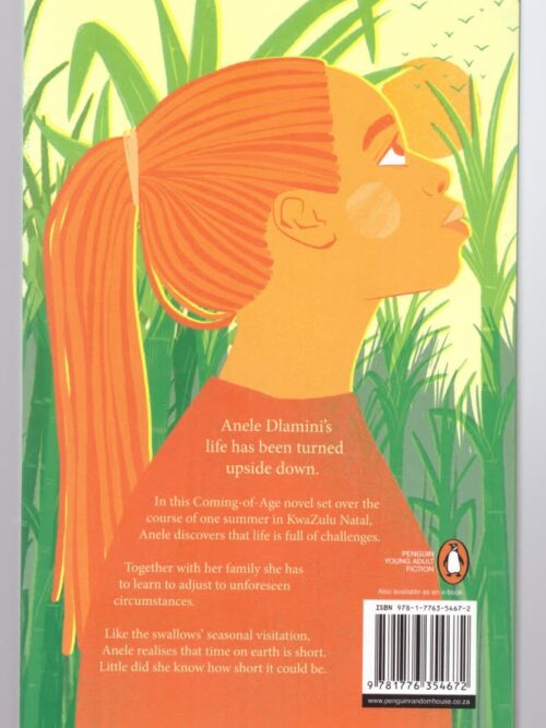 Time Of The Swallows – Dianne Stewart secondhand book