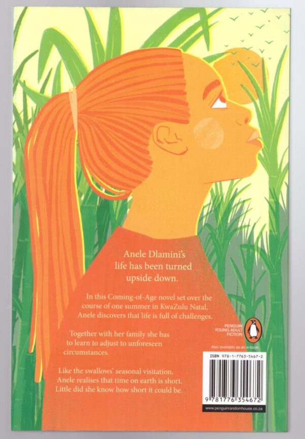 Time Of The Swallows2 Time Of The Swallows – Dianne Stewart secondhand book