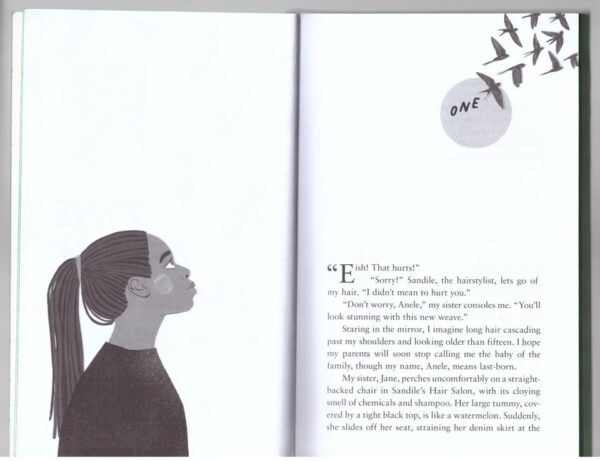 Time Of The Swallows4 Time Of The Swallows – Dianne Stewart secondhand book