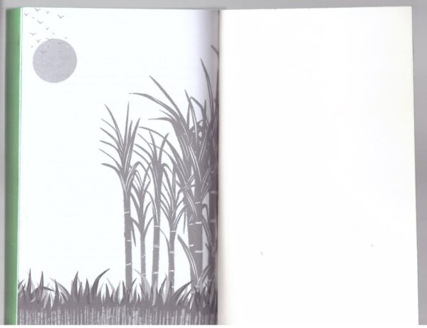 Time Of The Swallows5 Time Of The Swallows – Dianne Stewart secondhand book