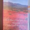 Wild Flowers Of South Africa & Namaqualand: Floral World Heritage Site — Sandra Hansen secondhand book