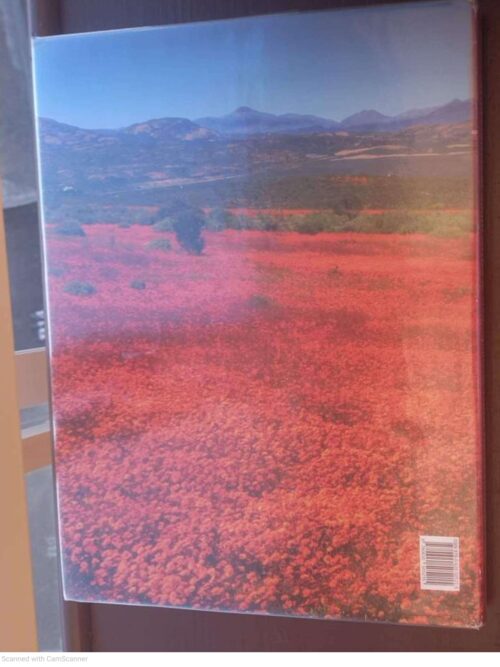 Wild Flowers Of South Africa & Namaqualand: Floral World Heritage Site — Sandra Hansen secondhand book