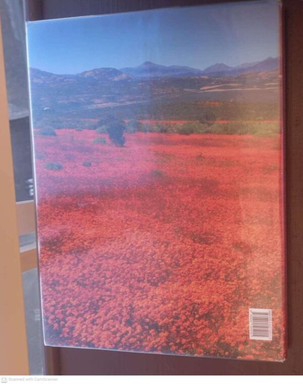 Wild Flowers Of South Africa & Namaqualand: Floral World Heritage Site — Sandra Hansen secondhand book