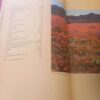 Wild Flowers Of South Africa & Namaqualand: Floral World Heritage Site — Sandra Hansen secondhand book