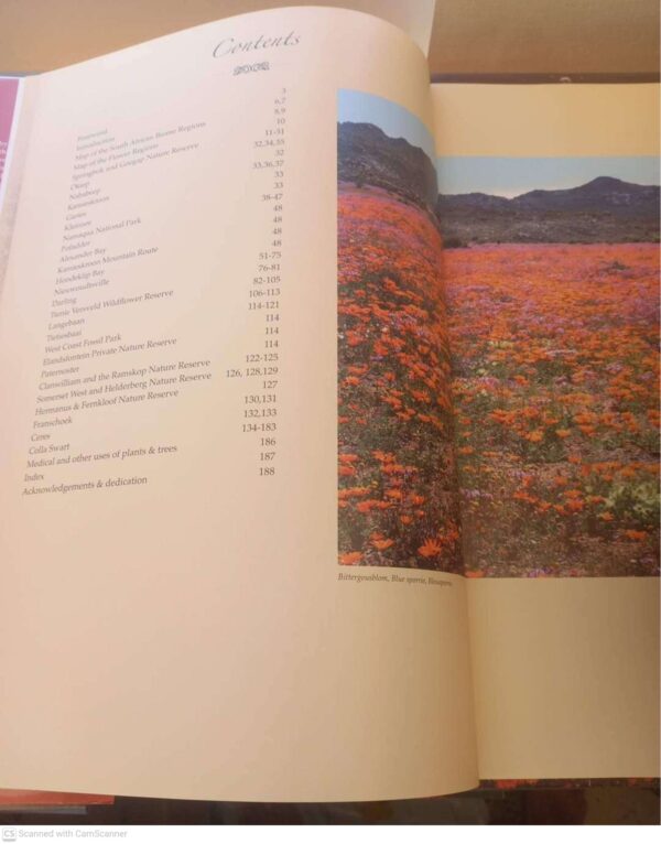 Wild Flowers Of South Africa & Namaqualand: Floral World Heritage Site — Sandra Hansen secondhand book