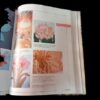 Skeppende Appliek: Gemaak Om Te Dra – Lesley Turpin-Delport secondhand book