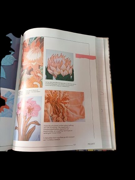 Skeppende Appliek: Gemaak Om Te Dra – Lesley Turpin-Delport secondhand book