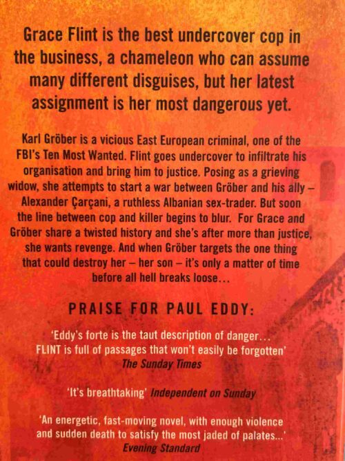Flint’s Code – Paul Eddy secondhand book