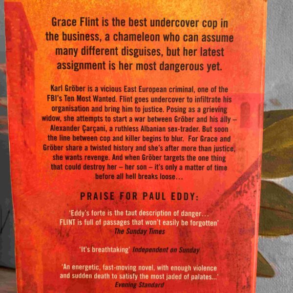 Flint’s Code – Paul Eddy secondhand book