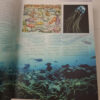 Maritimea: Above And Beneath The Waves: The Illustrated Guide To The Maritime World – Charles F. Gritzner secondhand book