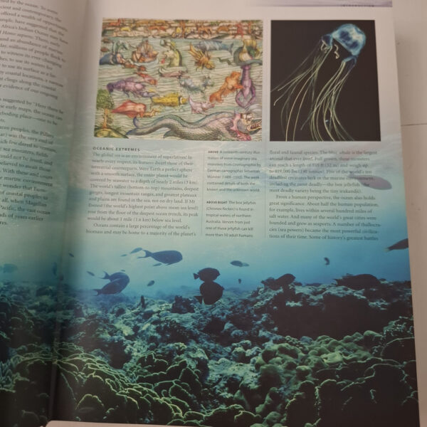 Maritimea: Above And Beneath The Waves: The Illustrated Guide To The Maritime World – Charles F. Gritzner secondhand book