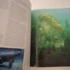 Maritimea: Above And Beneath The Waves: The Illustrated Guide To The Maritime World – Charles F. Gritzner secondhand book
