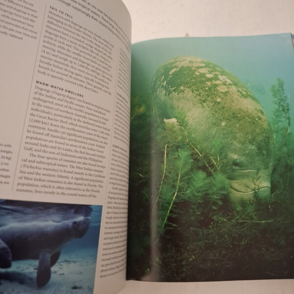 Maritimea: Above And Beneath The Waves: The Illustrated Guide To The Maritime World – Charles F. Gritzner secondhand book